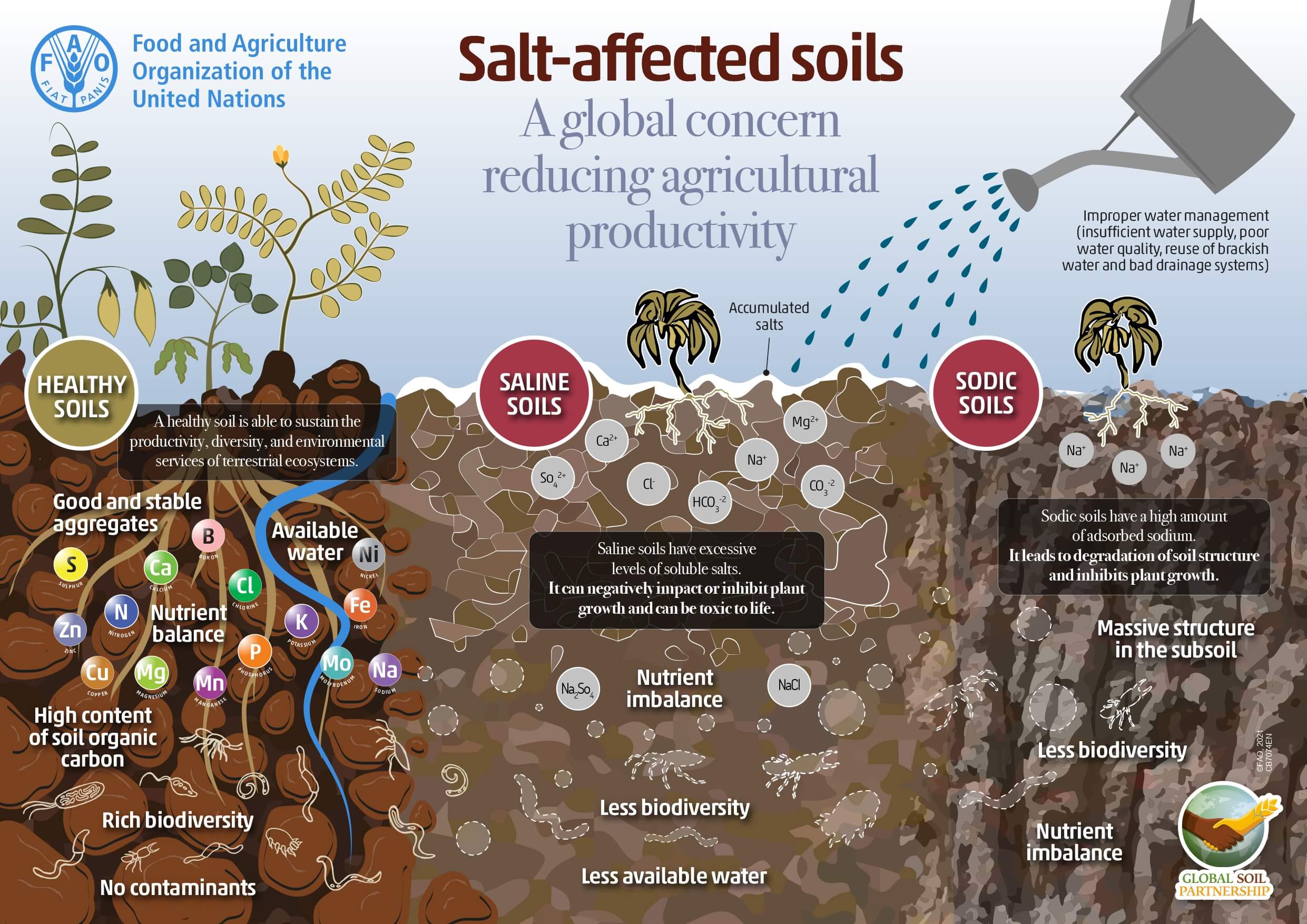 Salt affected soils_page-0001-2